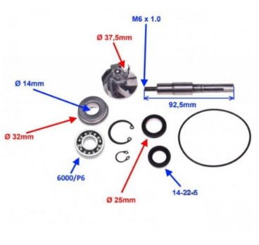 Kit reparatie pompa apa scuter Honda SH 125/ 150cc -4T